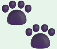 Veterinári