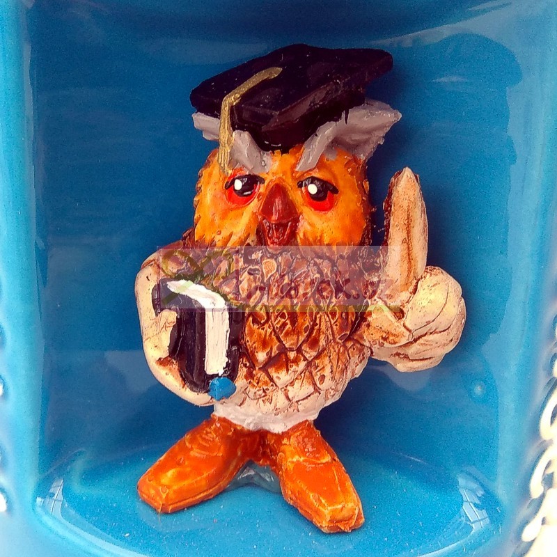 Originálny hrnček - Sova k promócii pre mužov (SK) VÝPREDAJ – POSLEDNÉ KUSY pôvodne 9,8 EUR