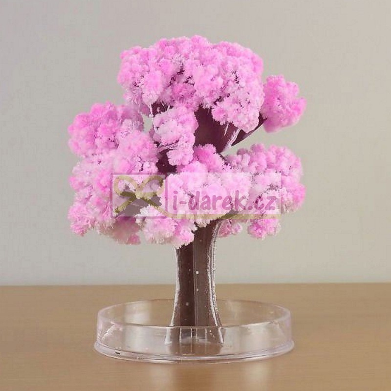 Magický kvitnúci strom - SAKURA