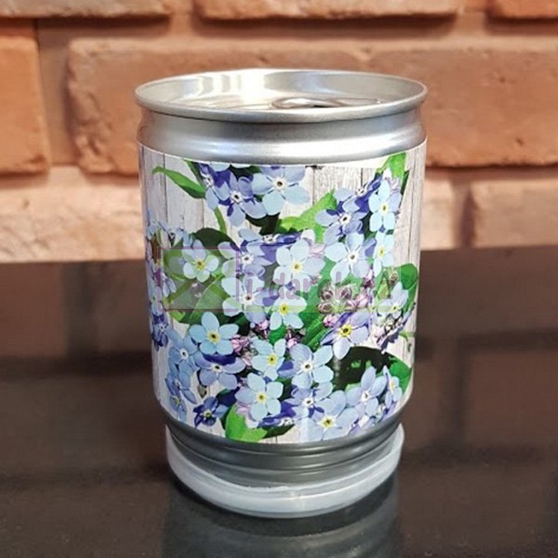 Vypestovanie kvetinky v plechovke - Nezábudka, Forget me not