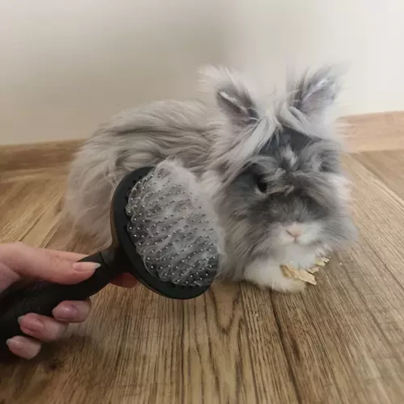 Vyčesávacia kefa na srsť - samočistiaca