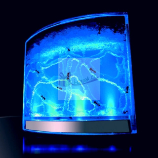 Mravčie akvárium s LED podsvietením -  antquarium