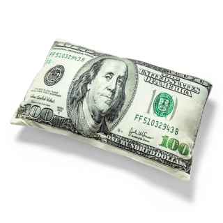 Vankúšik pre boháčov 40x25cm - 100 dolárovka