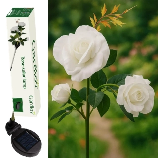 Záhradné solárne osvetlenie podsvietená BIELA RUŽA - 25282